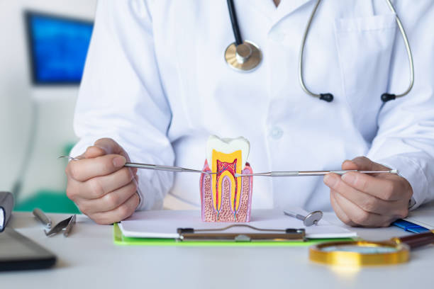 Best Broken Tooth Emergency  in Clarion, IA